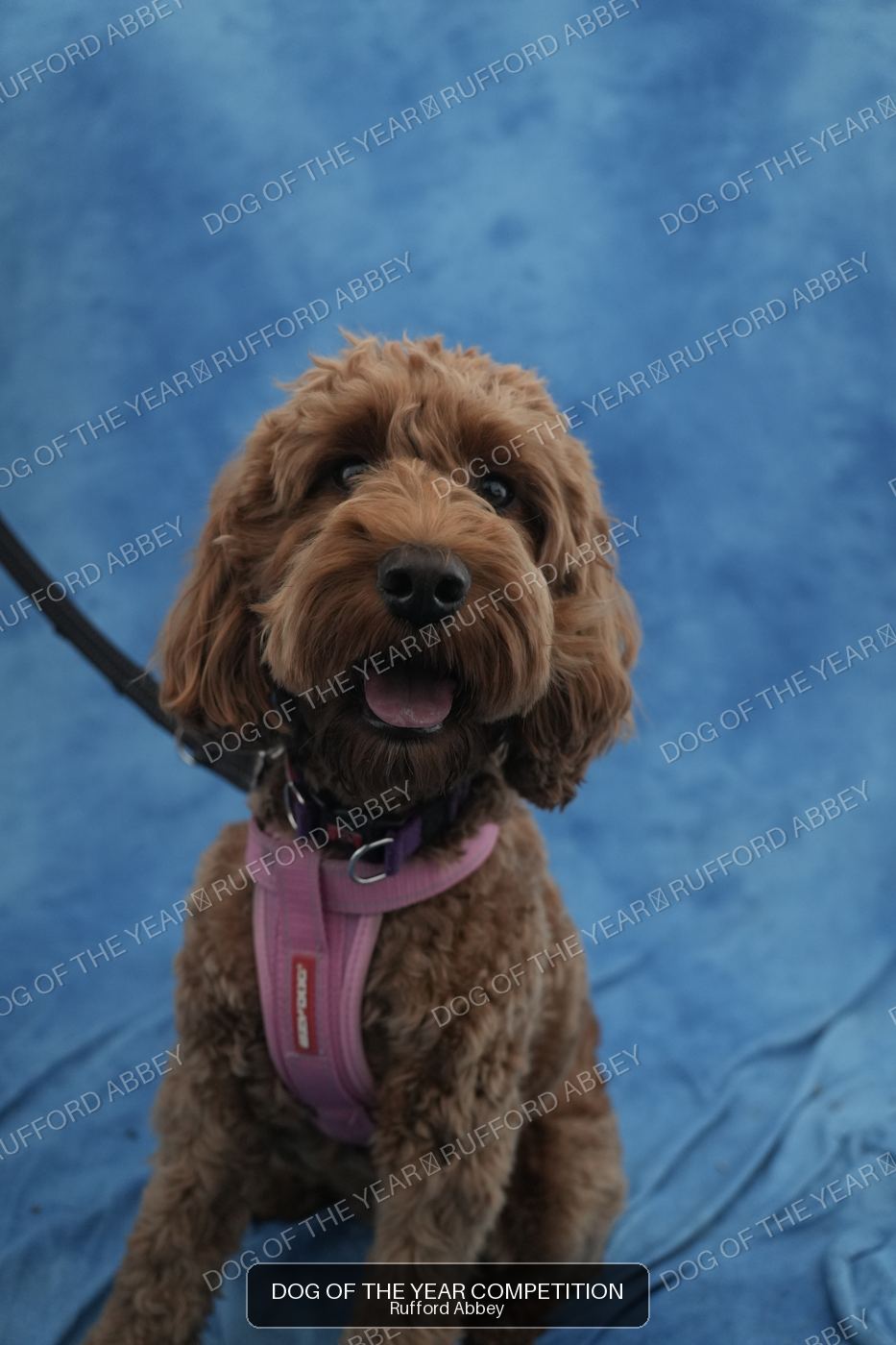 Elsie