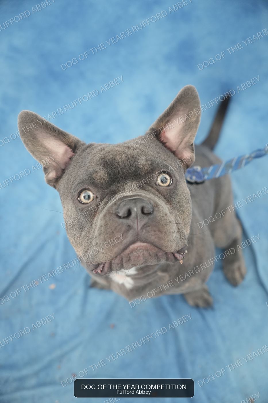 Roscoe