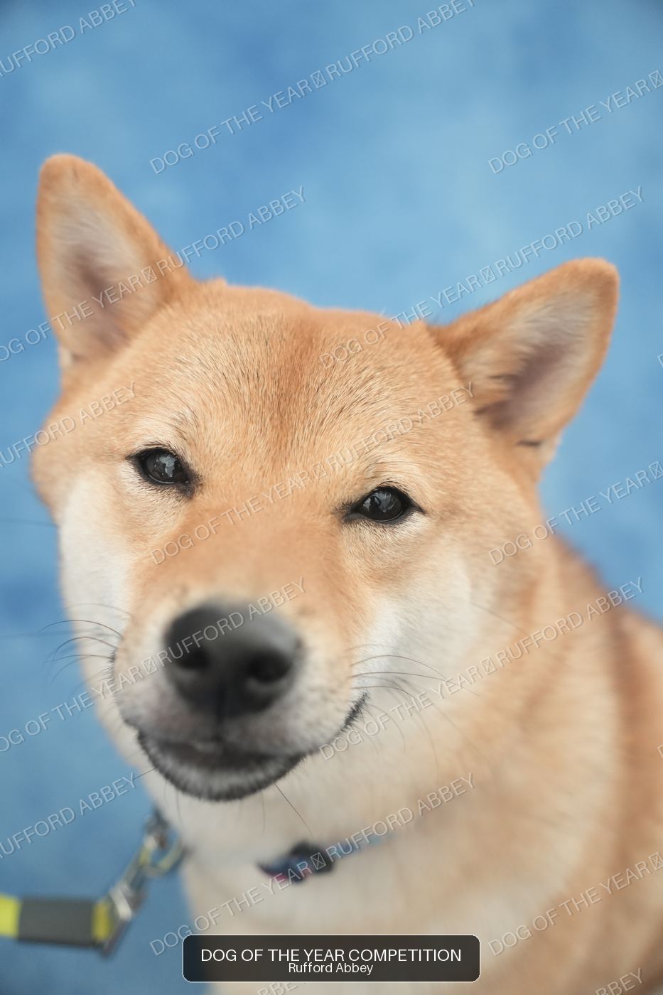 koda