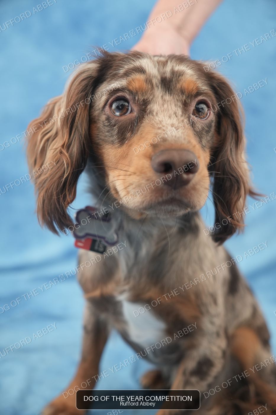 Remi