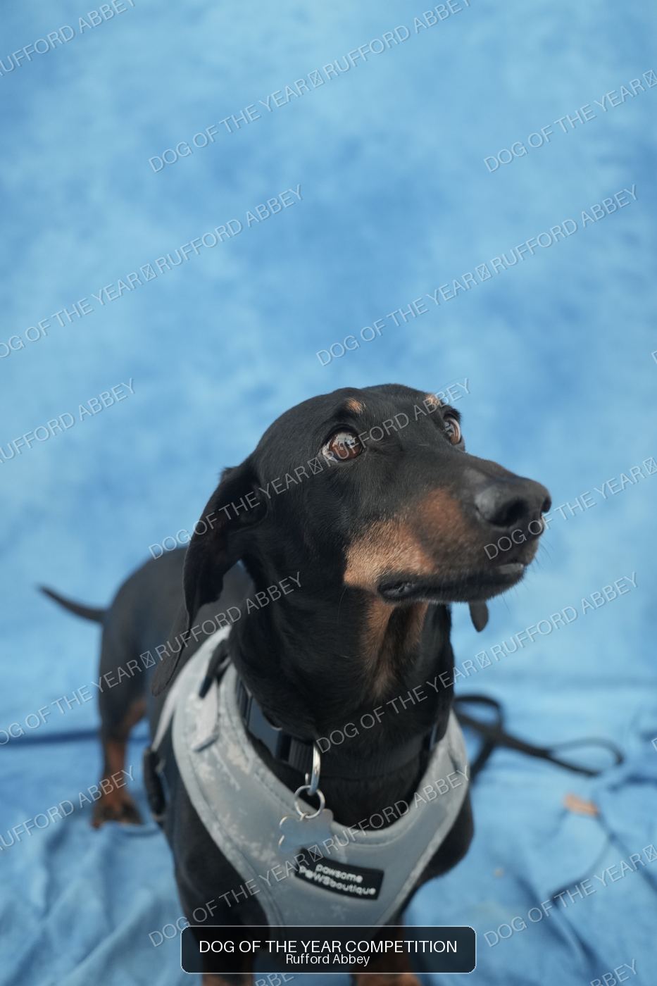 Frank