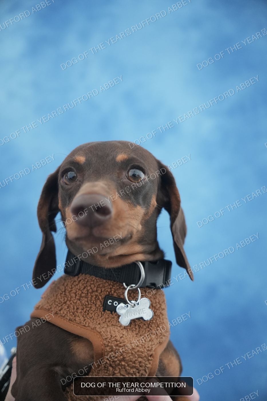 Winnie