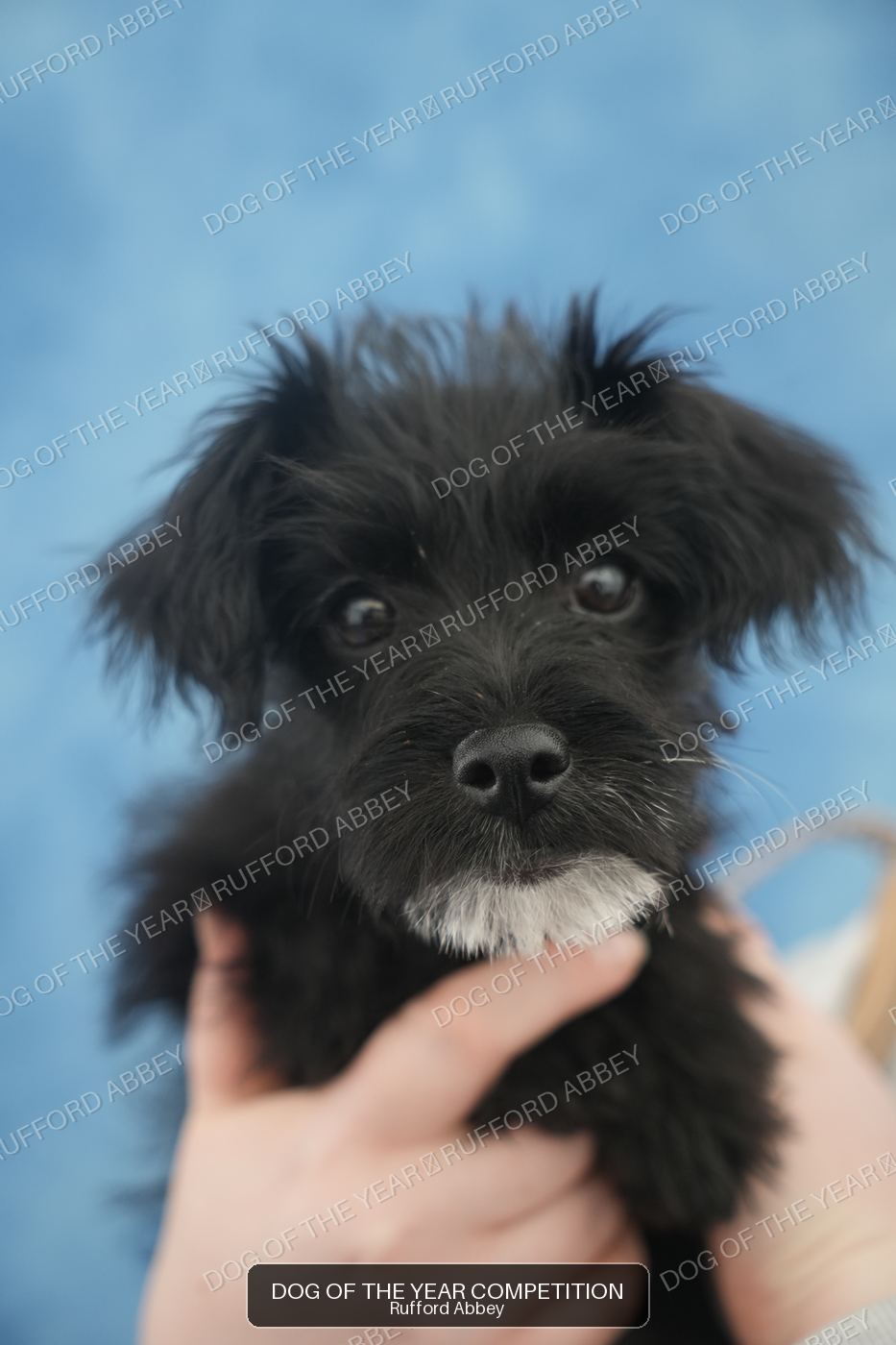 Winnie