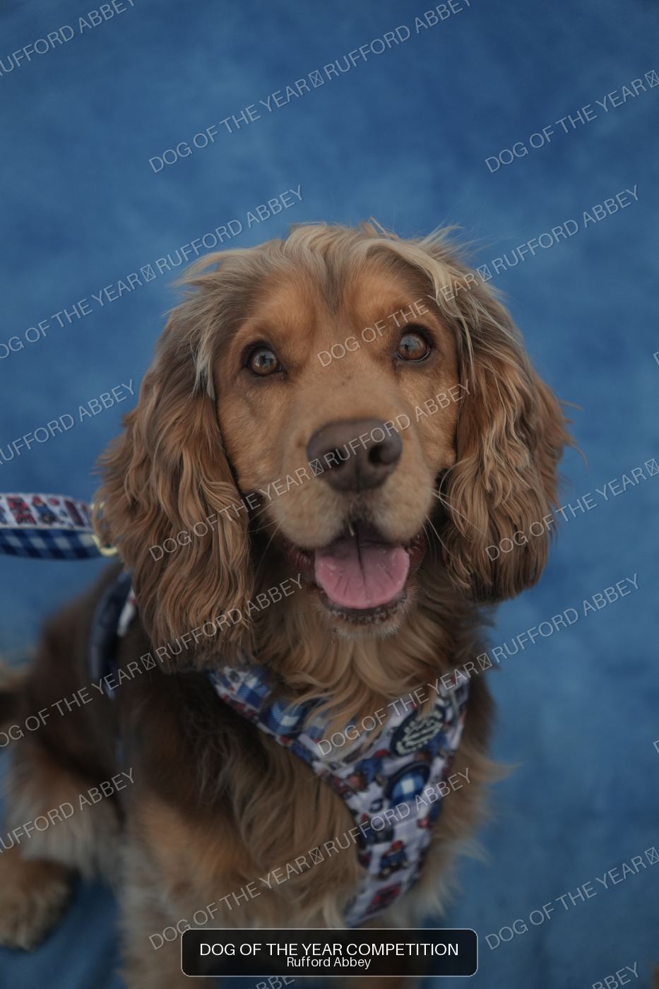 Rupert
