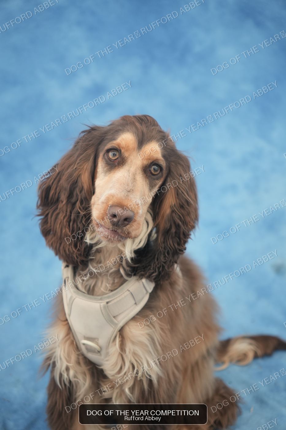 Ettie