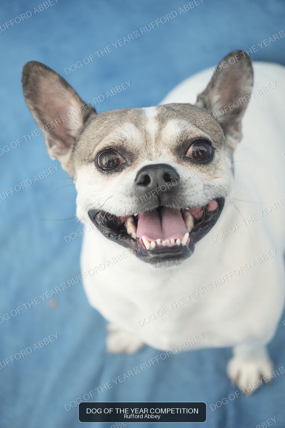 pablo